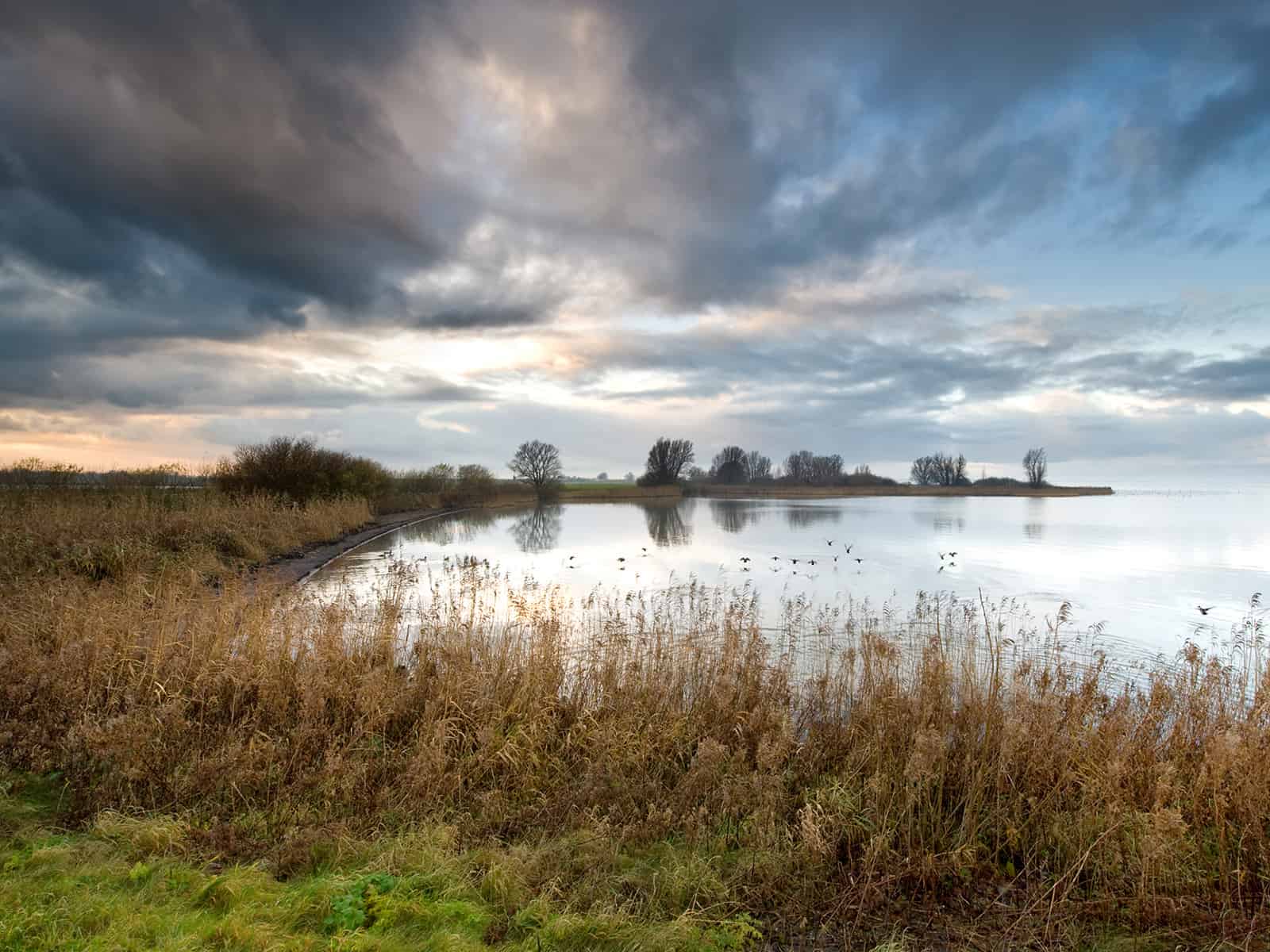 GettyImages-146722433-1